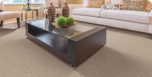 Living room with new flooring – compare carpet, vinyl and hardwood at Magic Carpet, Bay City MI